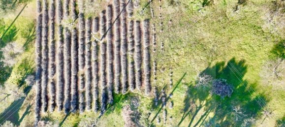 100m² Land in Monopoli, Italy No. 23053 19