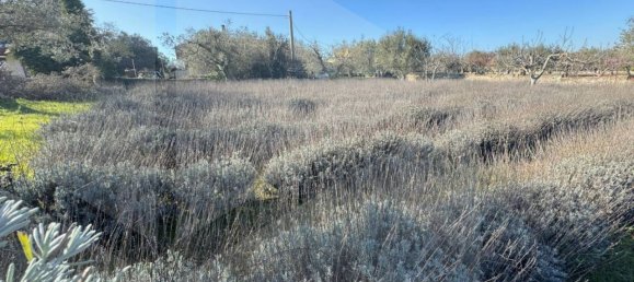 100m² Land in Monopoli, Italy No. 23053 9