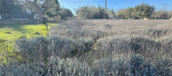 100m² Land in Monopoli, Italy No. 23053 8