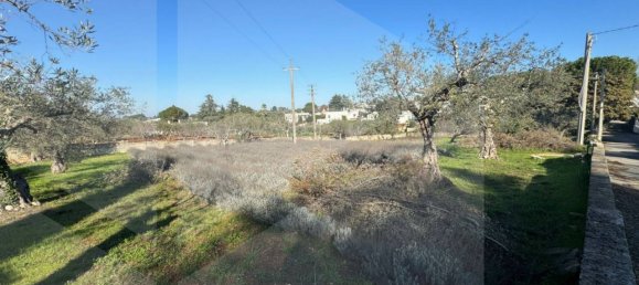 100m² Land in Monopoli, Italy No. 23053 15