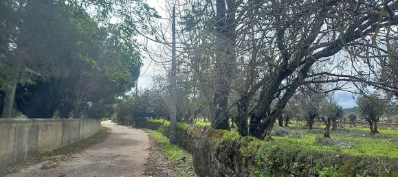 9 bedrooms House in Alvaiazere, Portugal No. 19621 38