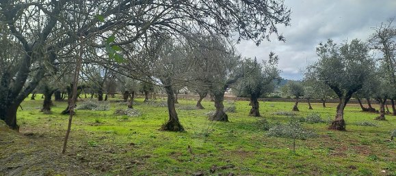 9 bedrooms House in Alvaiazere, Portugal No. 19621 36