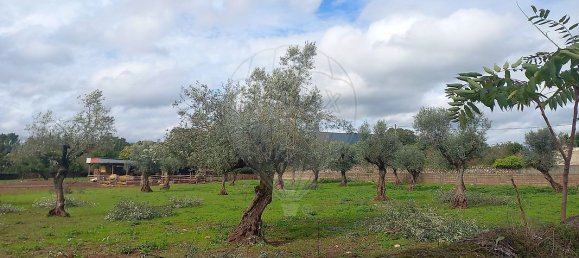9 bedrooms House in Alvaiazere, Portugal No. 19621 39