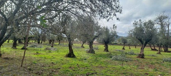 9 bedrooms House in Alvaiazere, Portugal No. 19621 35