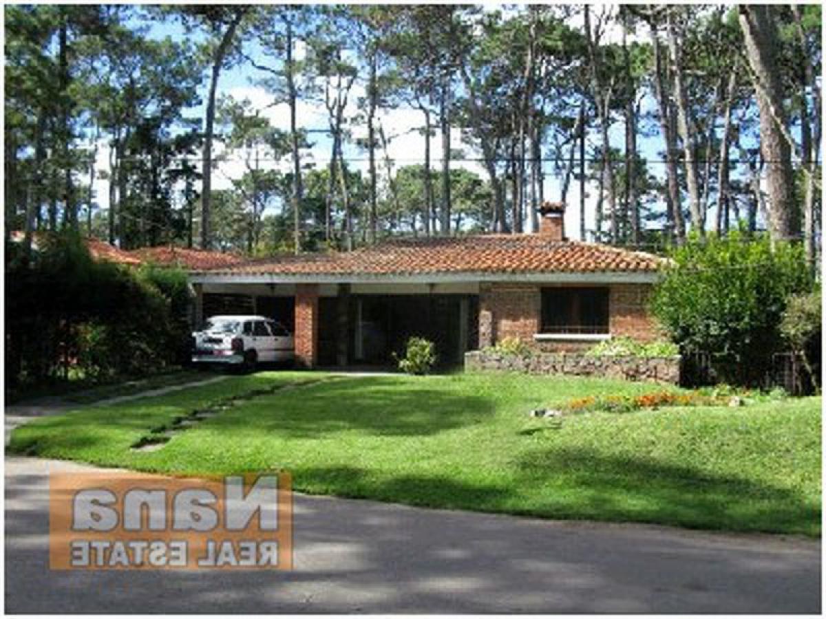 Дом с 3 спальнями в Мальдонадо, Уругвай № 10400