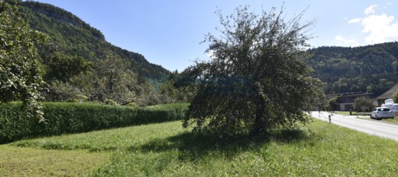 قطعة أرض في Gofis, Austria رقم 14419 2