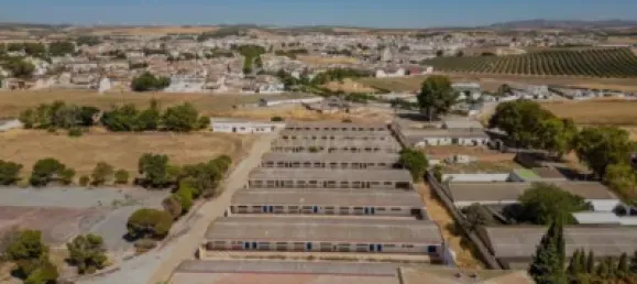 Gebäude in Campillos, Spain 28000m², Nr. 181651 32