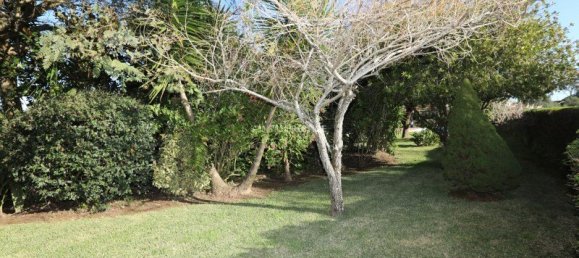 4 غرف نوم فيلا في Sintra, Portugal رقم 118697 13