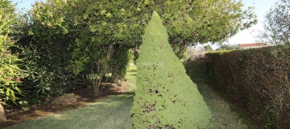 4 غرف نوم فيلا في Sintra, Portugal رقم 118697 14