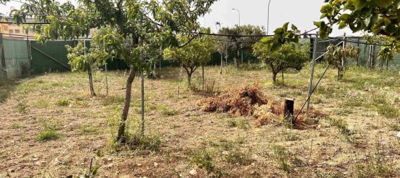 Lagerhaus in Menfi, Italy 250m², Nr. 141949 11