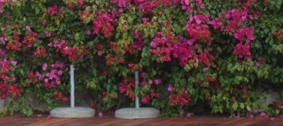 8 Schlafzimmer Villa in Colares, Portugal, Nr. 316890 17