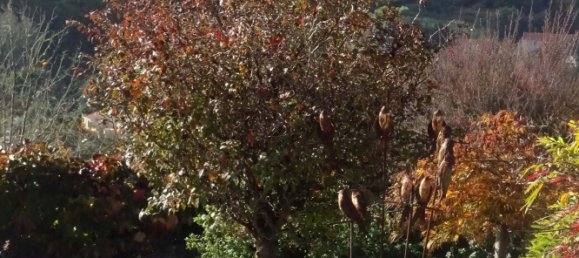 8 Schlafzimmer Villa in Colares, Portugal, Nr. 316890 46