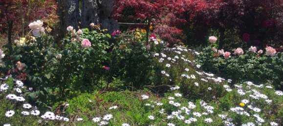 8 Schlafzimmer Villa in Colares, Portugal, Nr. 316890 33