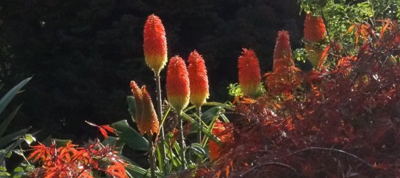 8 Schlafzimmer Villa in Colares, Portugal, Nr. 316890 49