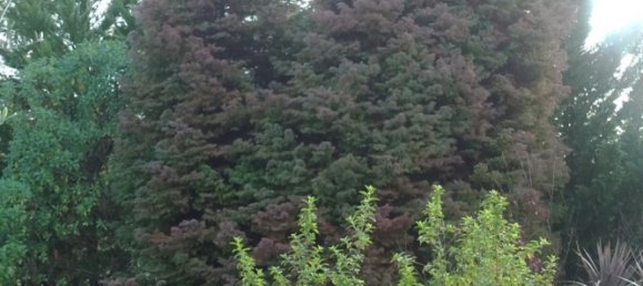 8 Schlafzimmer Villa in Colares, Portugal, Nr. 316890 42