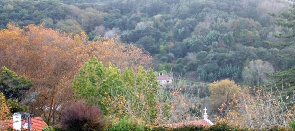 8 Schlafzimmer Villa in Colares, Portugal, Nr. 316890 38