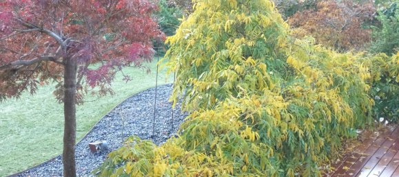 8 Schlafzimmer Villa in Colares, Portugal, Nr. 316890 43