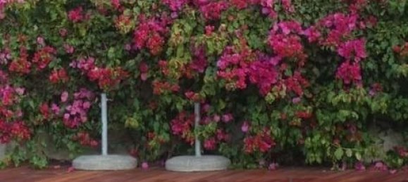 8 Schlafzimmer Villa in Colares, Portugal, Nr. 316890 25