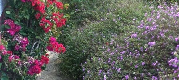 8 Schlafzimmer Villa in Colares, Portugal, Nr. 316890 16