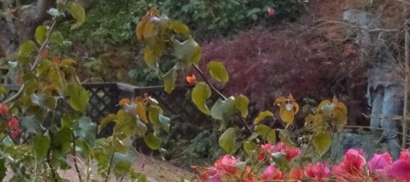 8 Schlafzimmer Villa in Colares, Portugal, Nr. 316890 23