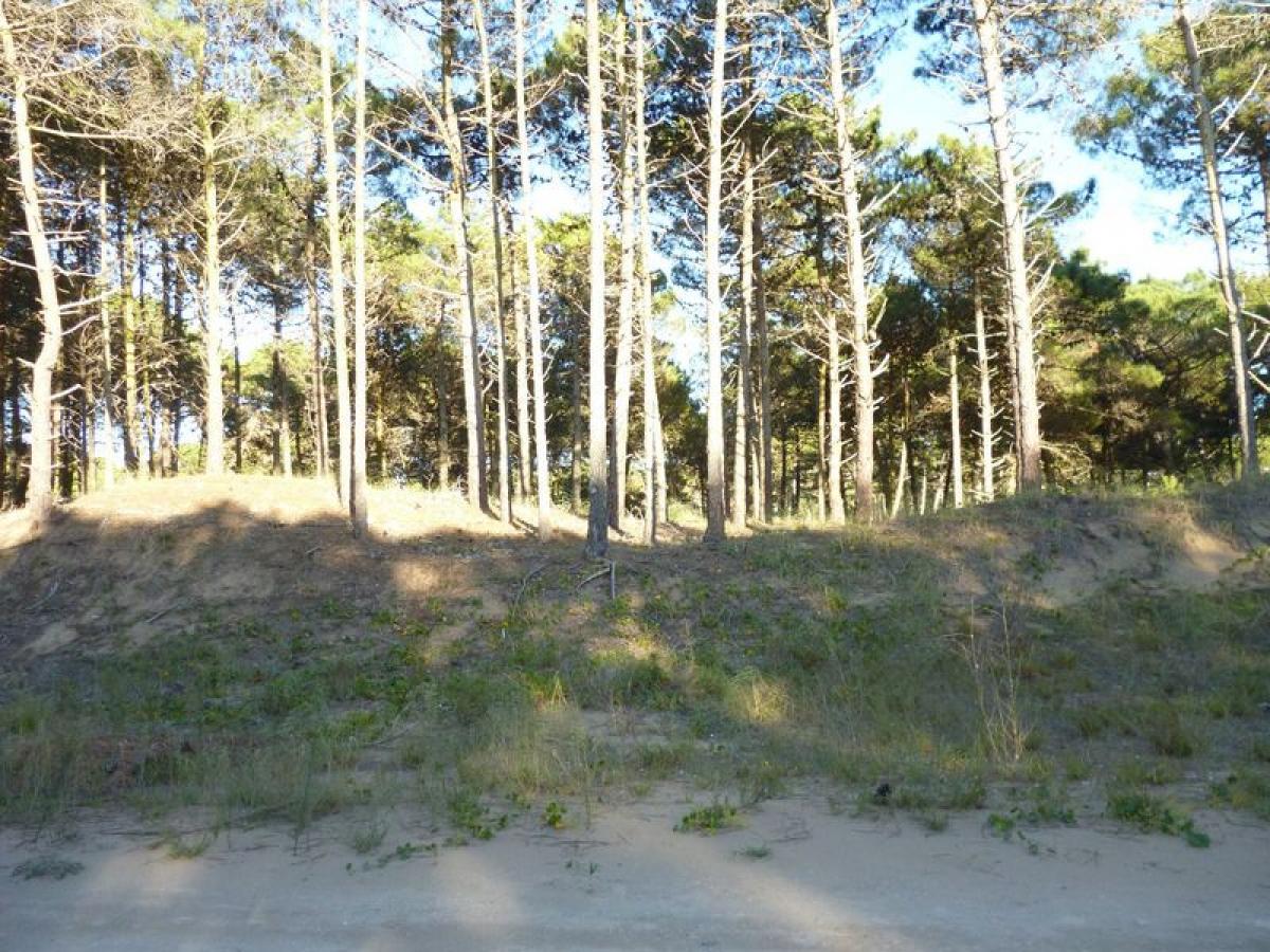 Земельный участок в Мар-дель-Плата, Аргентина № 113002