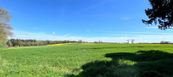 8 bedrooms Commercial property in Pleugriffet, France No. 1858 25