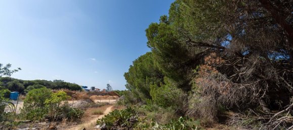 6471m² Land in Loule, Portugal No. 38716 5