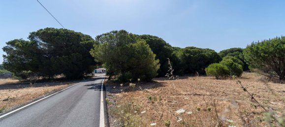 6471m² Land in Loule, Portugal No. 38716 4