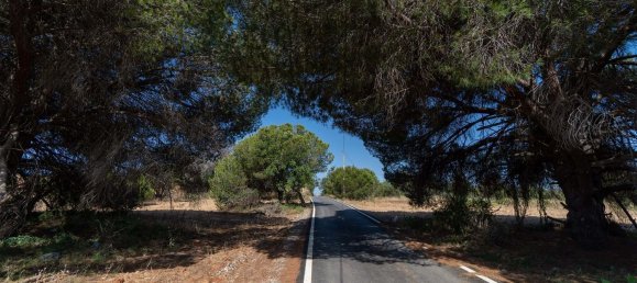 6471m² Land in Loule, Portugal No. 38716 2