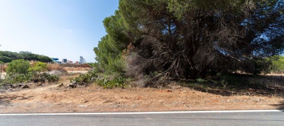 6471m² Land in Loule, Portugal No. 38716 6