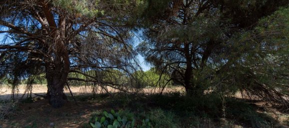 6471m² Land in Loule, Portugal No. 38716 3