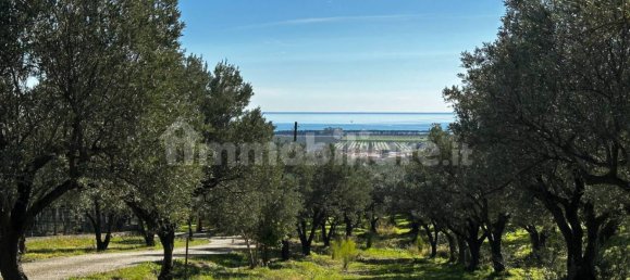 5 rooms Villa in Cropani, Italy No. 29705 24