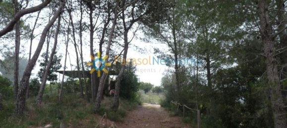 1 bedroom House in Barxeta, Spain No. 26600 15