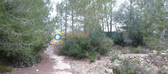 1 bedroom House in Barxeta, Spain No. 26600 16