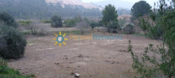 1 bedroom House in Barxeta, Spain No. 26600 27