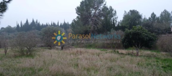 1 bedroom House in Barxeta, Spain No. 26600 22