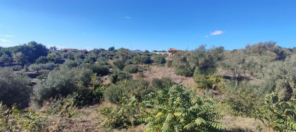 2-salle Maison à Misterbianco, Italy No. 83603 15