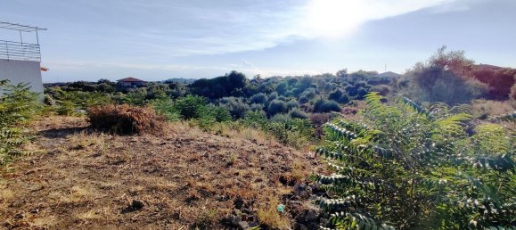 2-salle Maison à Misterbianco, Italy No. 83603 9