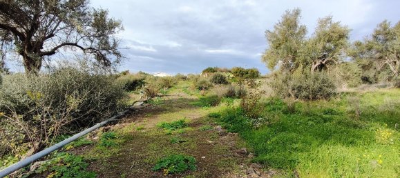 2-salle Maison à Misterbianco, Italy No. 83603 5