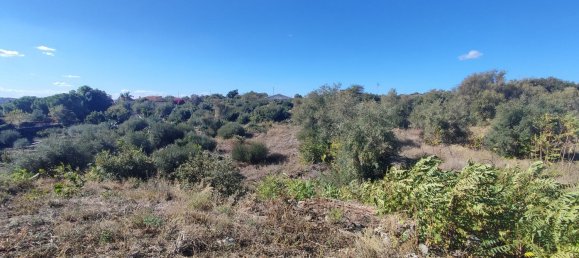 2-salle Maison à Misterbianco, Italy No. 83603 25