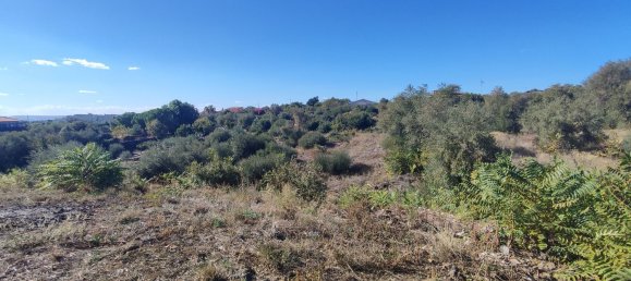 2-salle Maison à Misterbianco, Italy No. 83603 21