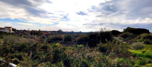 2-salle Maison à Misterbianco, Italy No. 83603 8