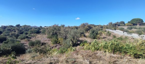 2-salle Maison à Misterbianco, Italy No. 83603 18