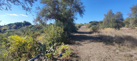 2-salle Maison à Misterbianco, Italy No. 83603 16