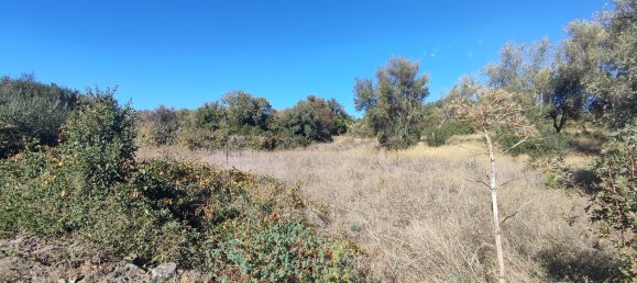 2-salle Maison à Misterbianco, Italy No. 83603 14