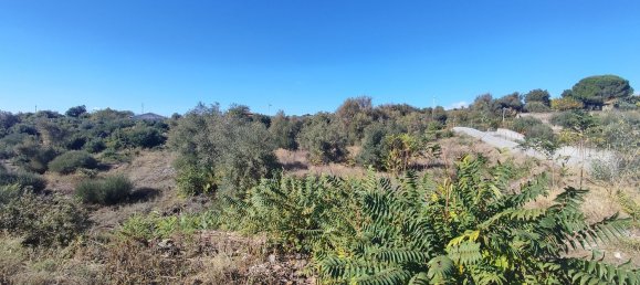 2-salle Maison à Misterbianco, Italy No. 83603 12