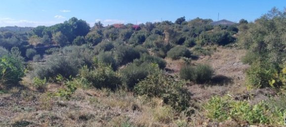 2-salle Maison à Misterbianco, Italy No. 83603 20