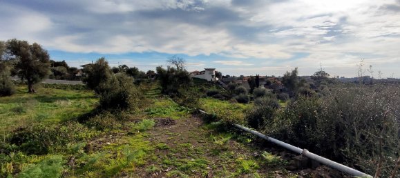 2-salle Maison à Misterbianco, Italy No. 83603 2