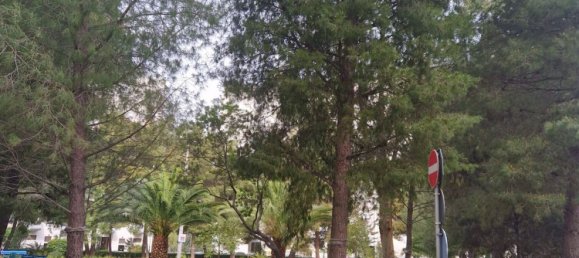 4-Zimmer Wohnung in Taranto, Italy, Nr. 37385 5