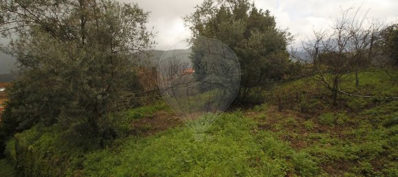 8 bedrooms House in Aldeia das Dez, Portugal No. 16595 4